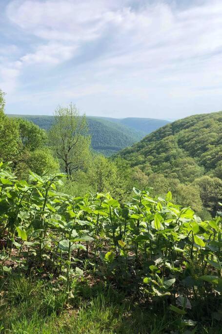 2 Bedroom 2 Bathroom - Blue Knob All Season Resort Condo Claysburg Bagian luar foto